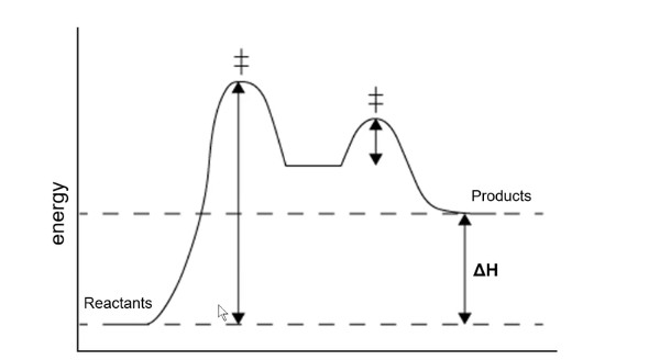 <p>Delta H Graph; Endo or Exothermic?; Where is transition states and intermediate?; Where is Ea1 and Ea2?</p>