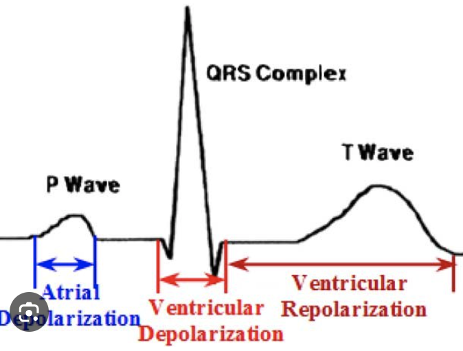 <p>Ventricular depolarization and atria repolarization simultaneously</p>