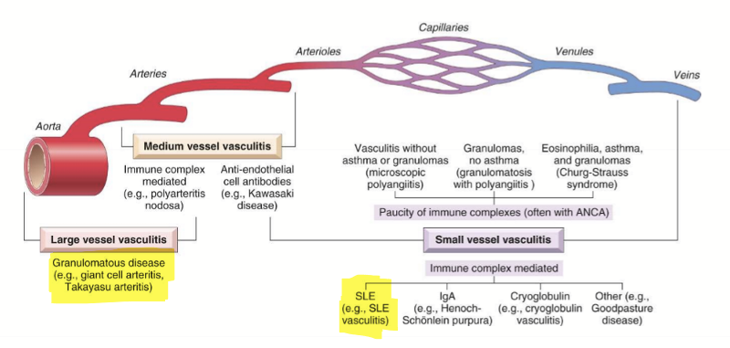<p>A general term for vessel wall inflammation with presentations based on location of inflammation. </p>
