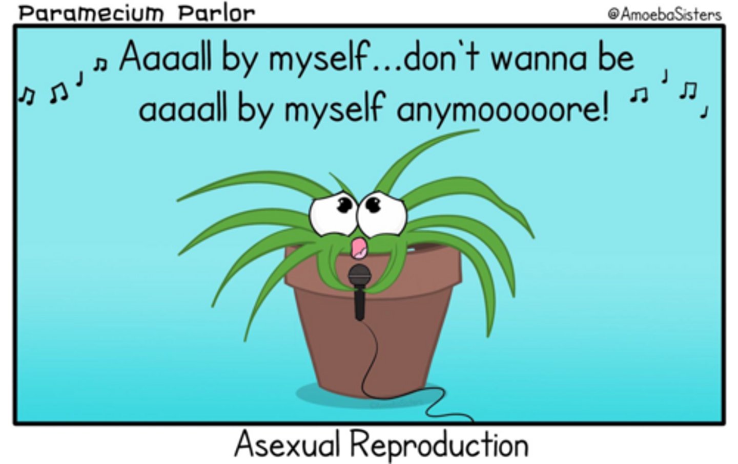 <p>A process that results in new individuals generated without the fusion of egg and sperm, relying on mitotic cell division.</p>