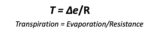 <p>We can measure the rate of water loss at the leaf using this equation.</p>