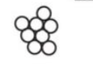 <p>cocci: in clusters </p>