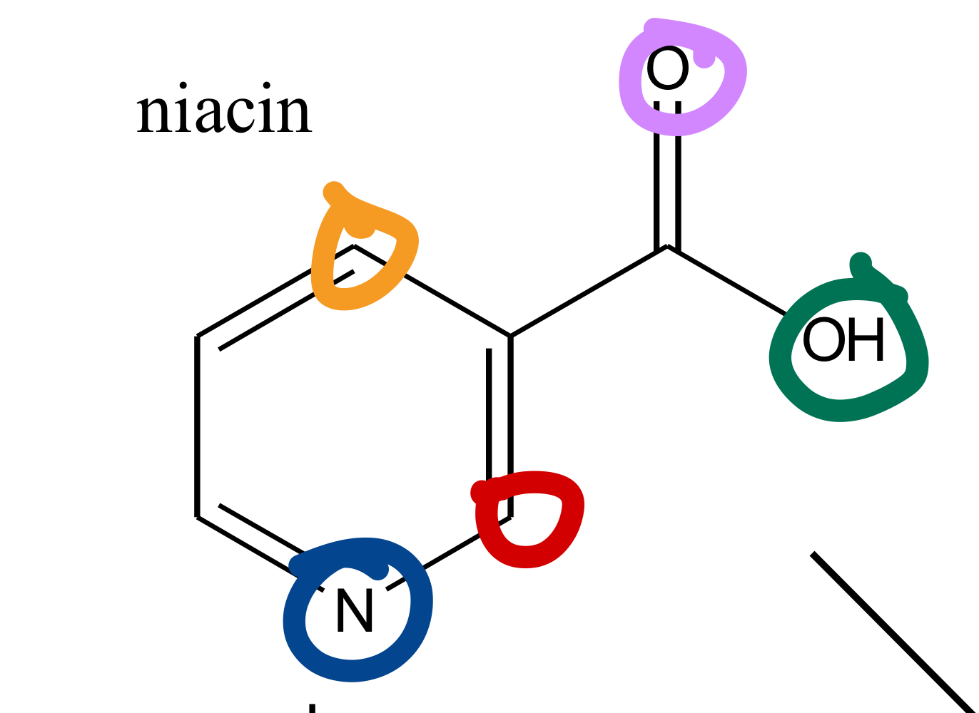 where would the reaction occur to form nicotinuric acid