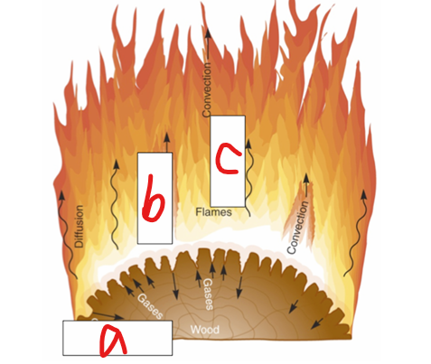 <p>What does a represent in the image?</p>