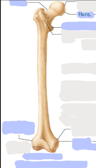 <p>What is here?</p>