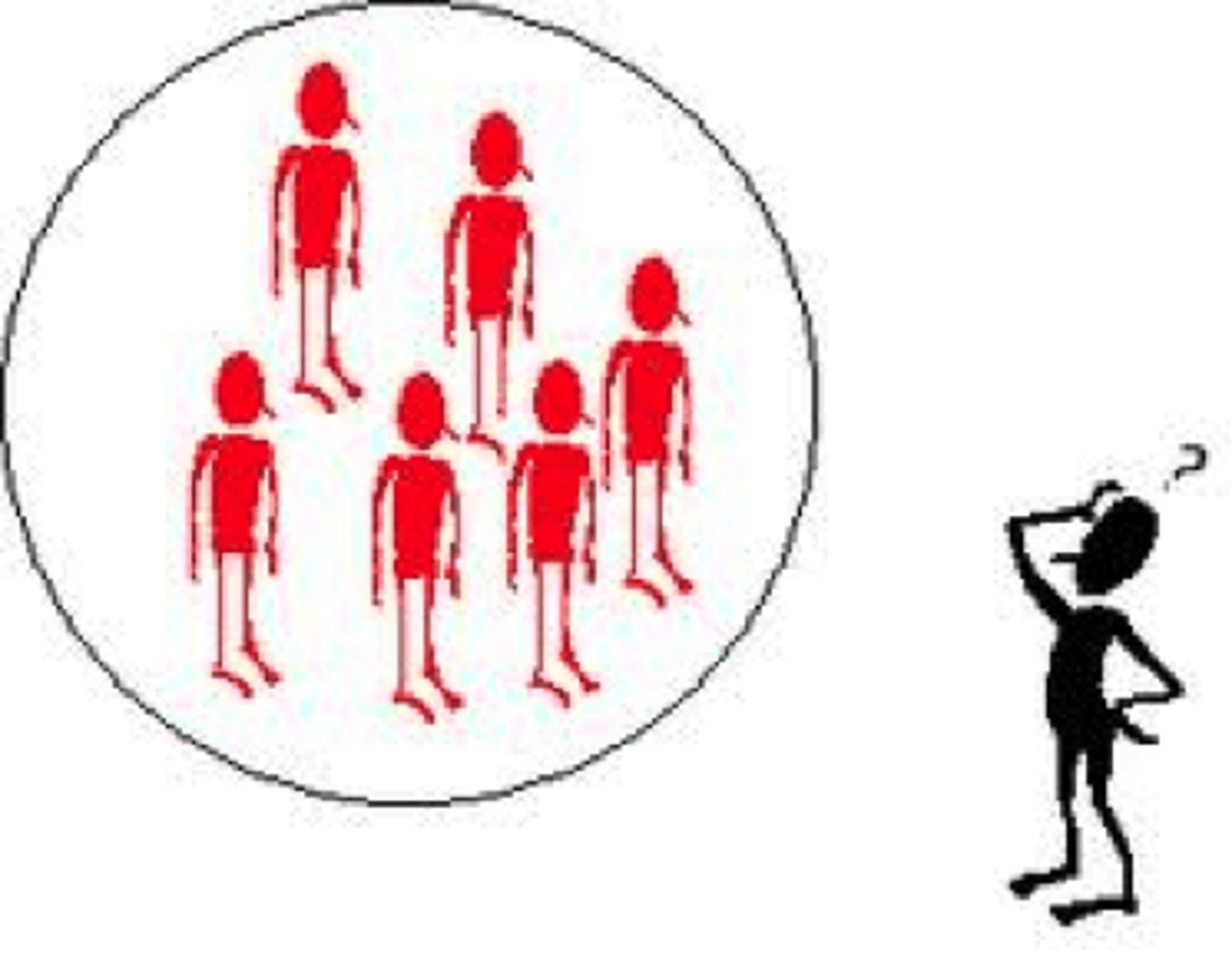 <p>at least one taxa that is as closely related as possible to ingroup species without actually being part of the ingroup; used as a reference and to help tree rooting</p>