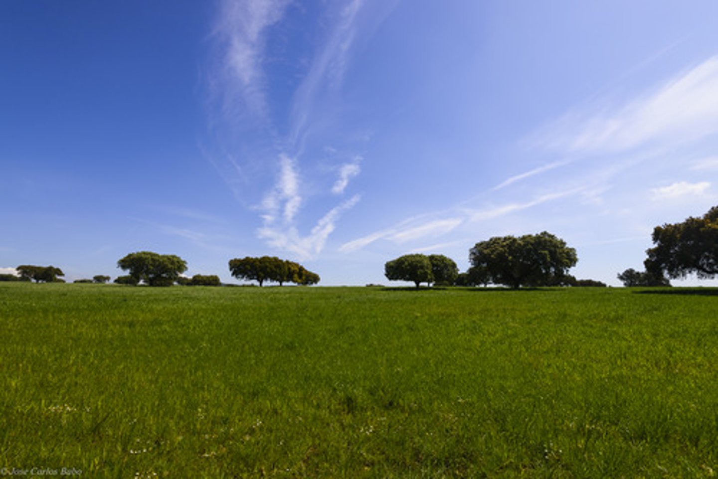 <p>a large area of flat land with few trees</p>
