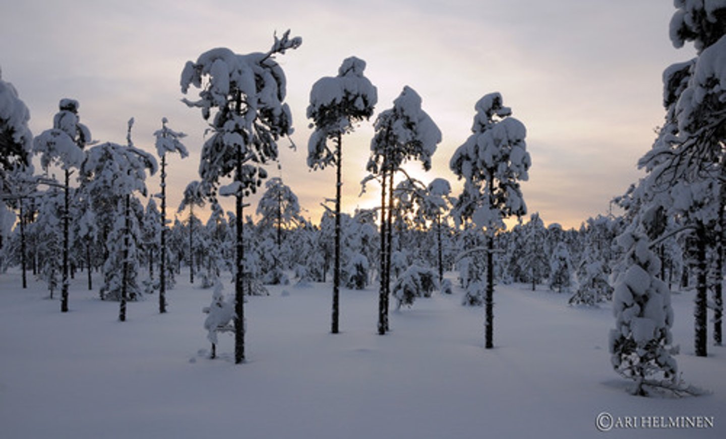 <p>på vintrarna, om vintrarna</p>