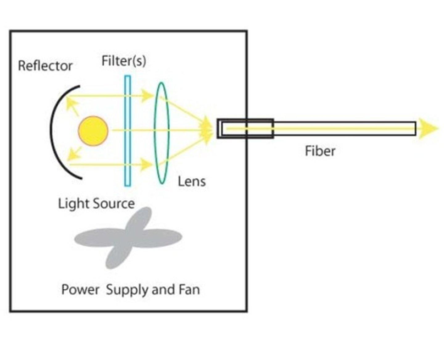 <p>Light Engine &amp; Fiber</p><p>3 multiple choice options</p>