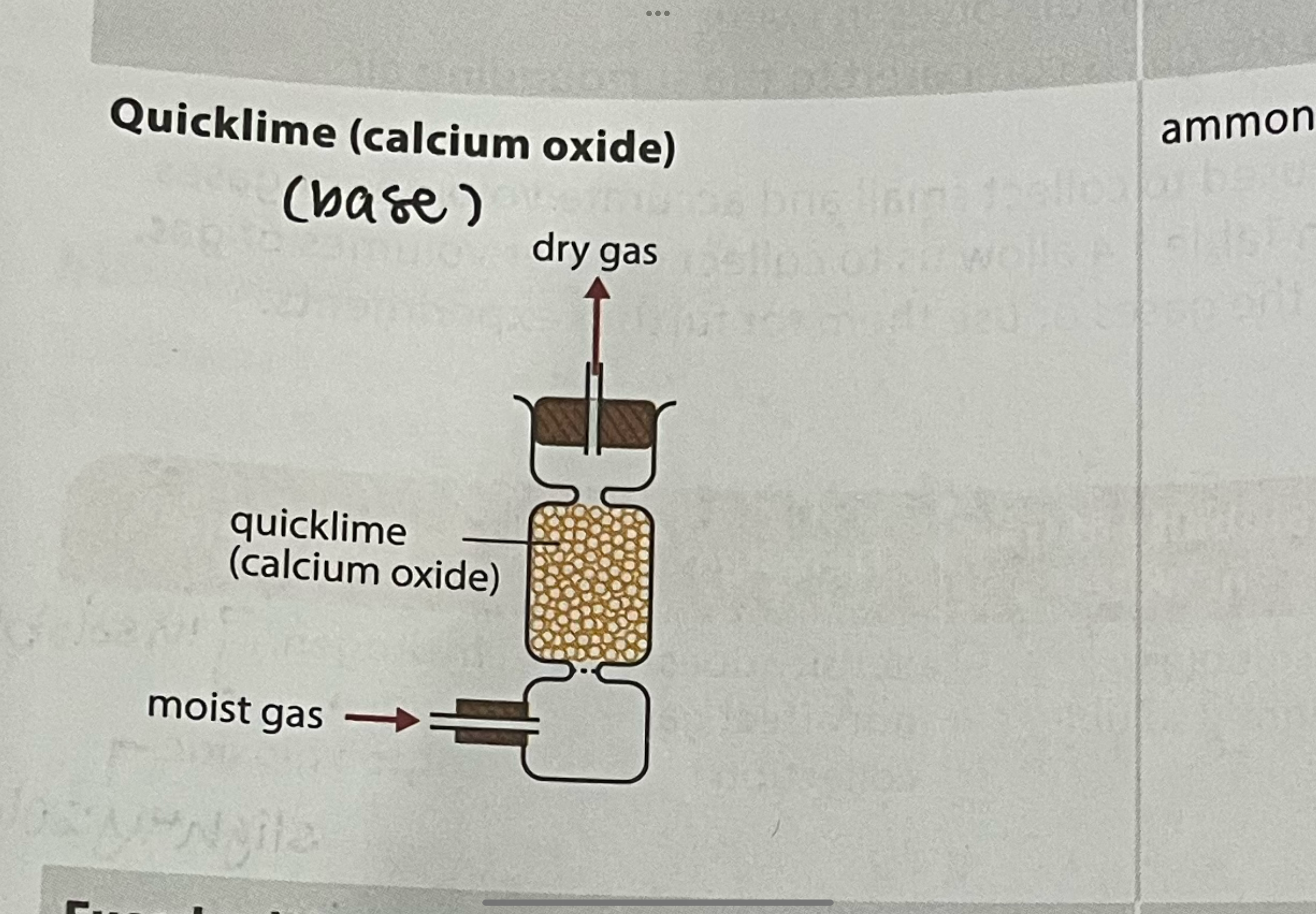 <ul><li><p>quicklime must be freshly heated before use </p></li><li><p>cannot be used to dry gases that react with calcium oxide (acidic gases)</p></li><li><p>can be used for ammonia</p></li></ul>