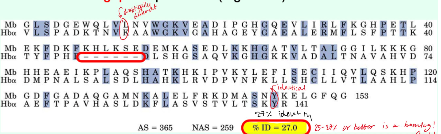 <p>They are <strong>penalized</strong></p>