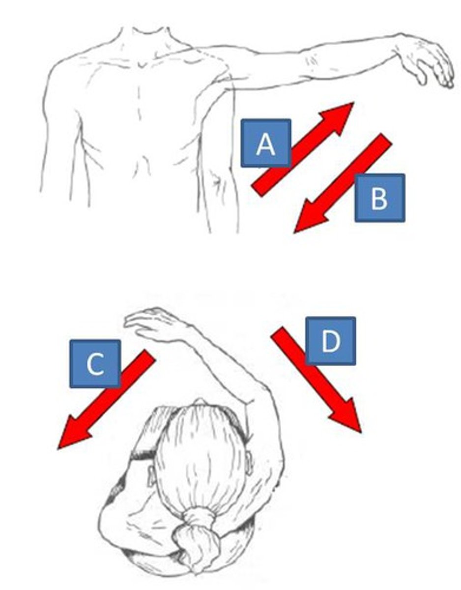 <p>what are these movements</p>