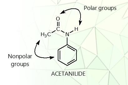 <p>the carbonyl and the amide groups</p>