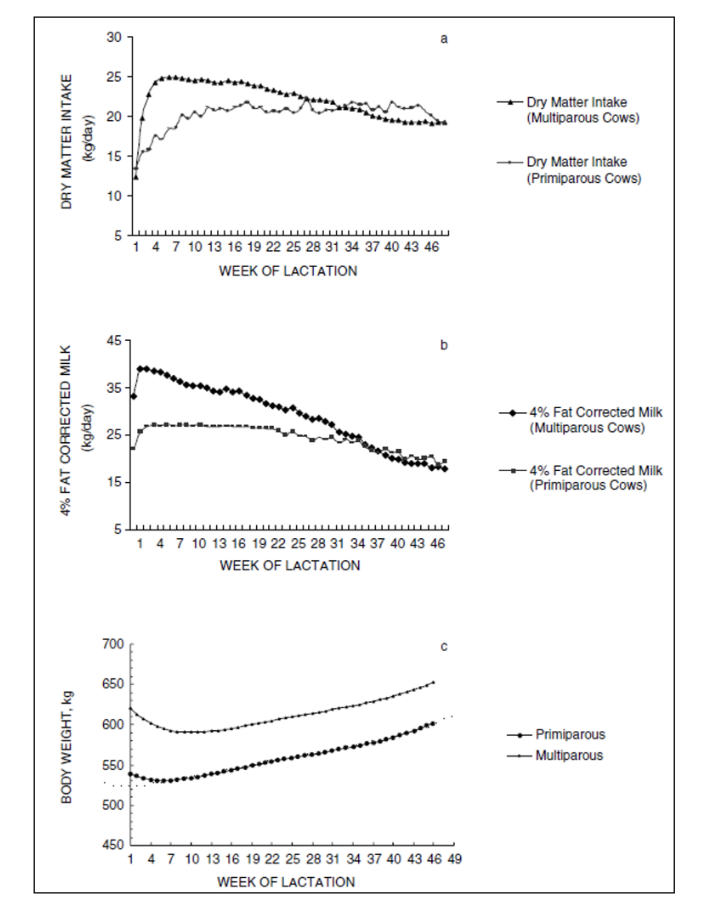 <ul><li><p>milk produced</p></li><li><p>amount of feed eaten</p></li><li><p>body weight</p></li><li><p>cows have a higher DM intake during the start of lactation</p></li><li><p>cows also use up a lot of their stored body fat at the start of lactation (to make up for a deficit of energy collected from the feed)</p></li></ul>