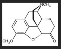 <p>what is the main use of hydrocodone? </p>