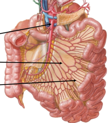 <p>bottom arrow</p>
