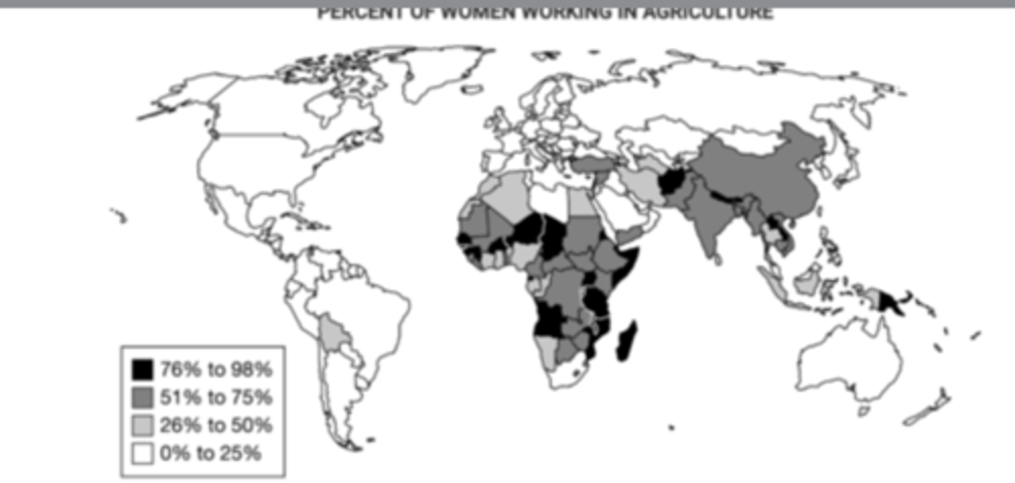 <p>in the subsistence-based rural economies in these regions, female farmers produce much of the food that their families need for survival.</p>