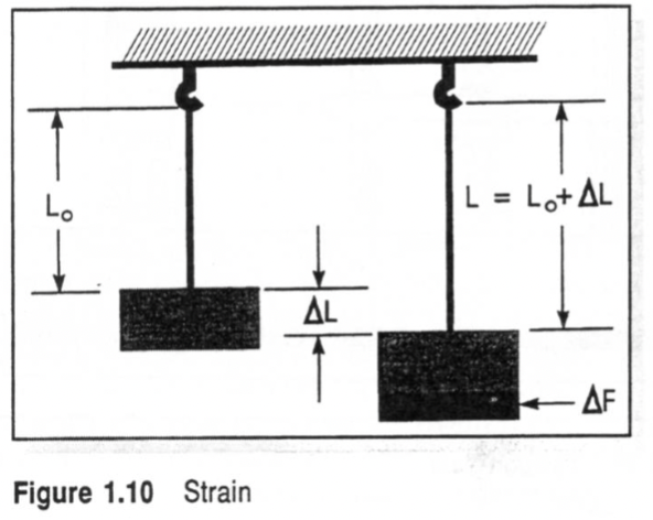 <ul><li><p>material subjected to sufficient stress will deform or change shape </p></li><li><p>lengthening or shortening due to stress is called experiencing strain</p></li></ul><p><span>ε = strain</span></p><p><span style="font-size: calc(var(--scale-factor)*18.00px)">ΔL = change in length </span></p><p><span style="font-size: calc(var(--scale-factor)*18.00px)">L</span><span style="font-size: calc(var(--scale-factor)*12.00px)">0 = original length </span></p><p><span style="font-size: calc(var(--scale-factor)*12.00px)"><strong> strain is dimensionless </strong></span></p><p></p>