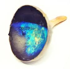 <p>tapetum lucidum</p>