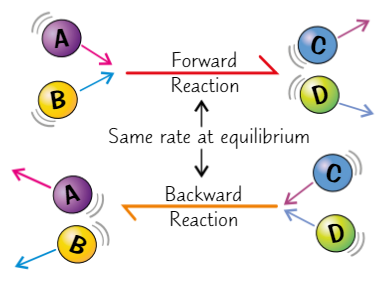 <ul><li><p>If reversible reaction occurs in <strong>closed system</strong>, a state of <strong>equilibrium </strong>will always be reached</p></li><li><p><strong>Equilibrium</strong> = <strong>conc </strong>of reactants and products reach a certain<strong> balance</strong> and stay there<br><strong>Closed system</strong> = reactants/products can’t <strong>escape</strong> </p></li><li><p>It is a <strong>DYNAMIC EQUILIBRIUM</strong> - meaning reactions are still taking place in <strong>both directions</strong>, but <strong>overall effect is nil</strong> because forward + reverse reactions <strong>cancel</strong> each other out</p></li></ul>