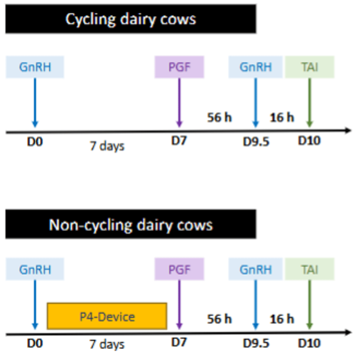 <p>- Interval from PGF to last GnRH is 56hrs and interval from last GnRH to AI is 16 h</p><p>- Cycling cows may not benefit but non-cycling cows may benefit from exogenous P4 supplementation, not recommended to use in heifers</p><p>- A second PGF on D8 of the protocol may slightly improve the conception rate</p><p>- Cows that are in oestrus after PGF and prior to TAI, can be inseminated based on AM/PM rule</p>
