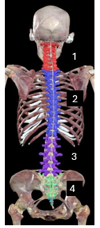 <p>#2</p>