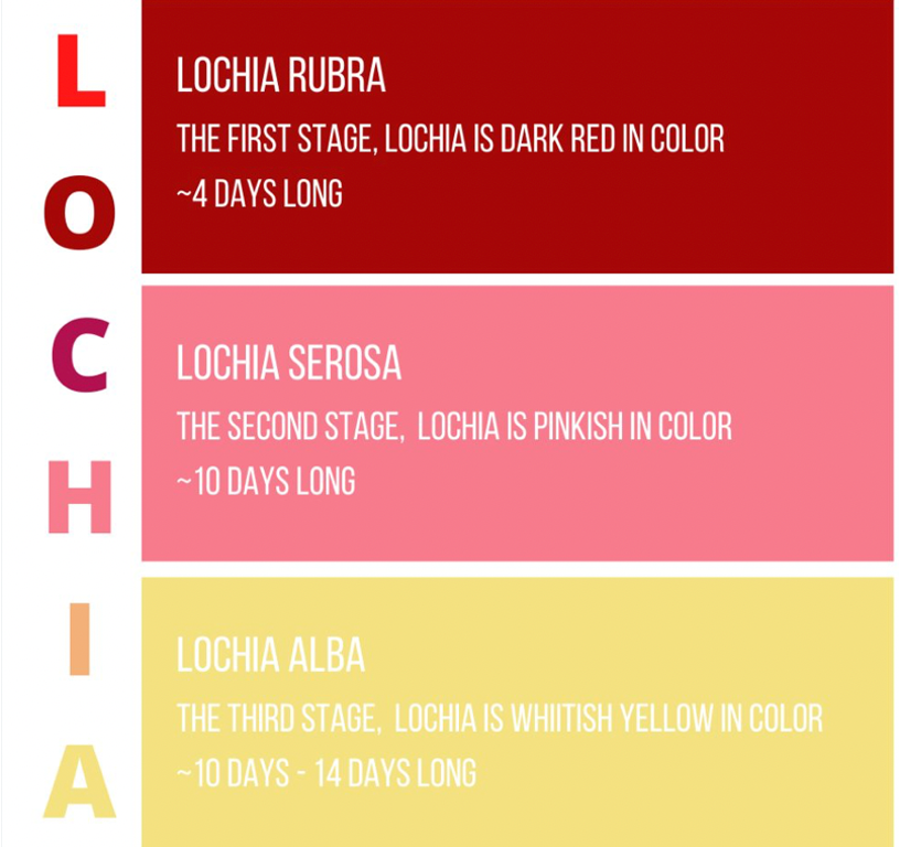 <p>Period 6 weeks after delivery </p><ul><li><p>See involution of 5-6 weeks </p></li><li><p><strong>Lochia (vaginal discharge) lasting 3-4 weeks </strong></p><ul><li><p><strong>Rubra: first stage </strong></p><ul><li><p><strong>Dark red in color and around 4 days long </strong></p></li></ul></li><li><p><strong>Serosa: second stage </strong></p><ul><li><p><strong>Pinkish in color and lasts for 10 days  </strong></p></li></ul></li><li><p><strong>Alba: third stage  </strong></p><ul><li><p><strong>Whitish yellow and lasts for 10-14 days </strong></p></li></ul></li></ul></li><li><p>Diuresis days 2-5 </p><ul><li><p>Do have risk of UTI </p></li></ul></li><li><p>Blood: leukocytosis at labor </p></li><li><p>Menstruation: lactating vs non-lactating </p></li><li><p>Complications </p><ul><li><p>Hemorrhage </p></li><li><p>Infections </p></li></ul></li></ul><p></p><p></p>