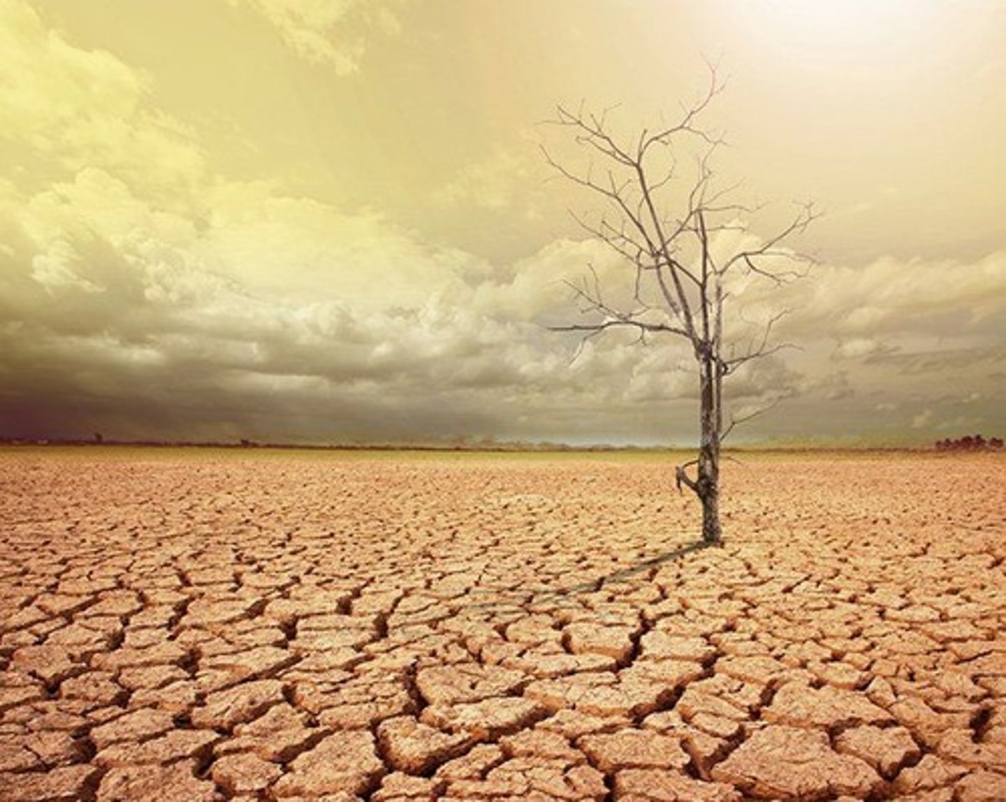 <p>/draɪ/ - khô ráo → dry weather → It's dry today, no rain. (Hôm nay trời khô, không mưa.)</p>