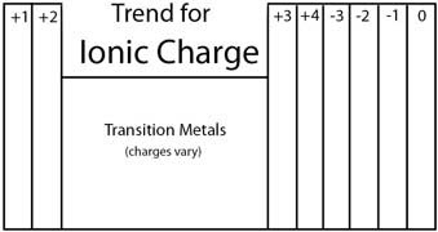 <p>Form positive ions often with the ability to form more than one ion</p>