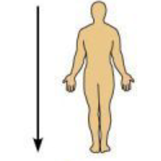 <p>Below; away from the head</p>