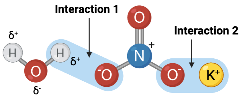 <p><span>Interaction 1 is ____?</span></p>
