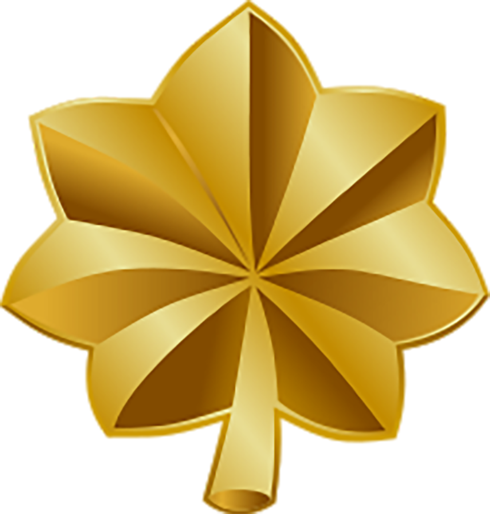 <p></p>