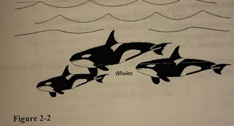 The group of animals in Figure 2-2 is an example of what?
