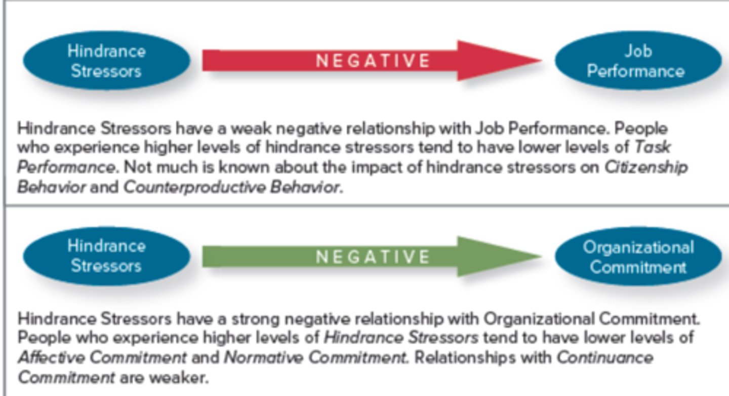<p>hindrance stressors and job performance have what kind of relationship?</p>
