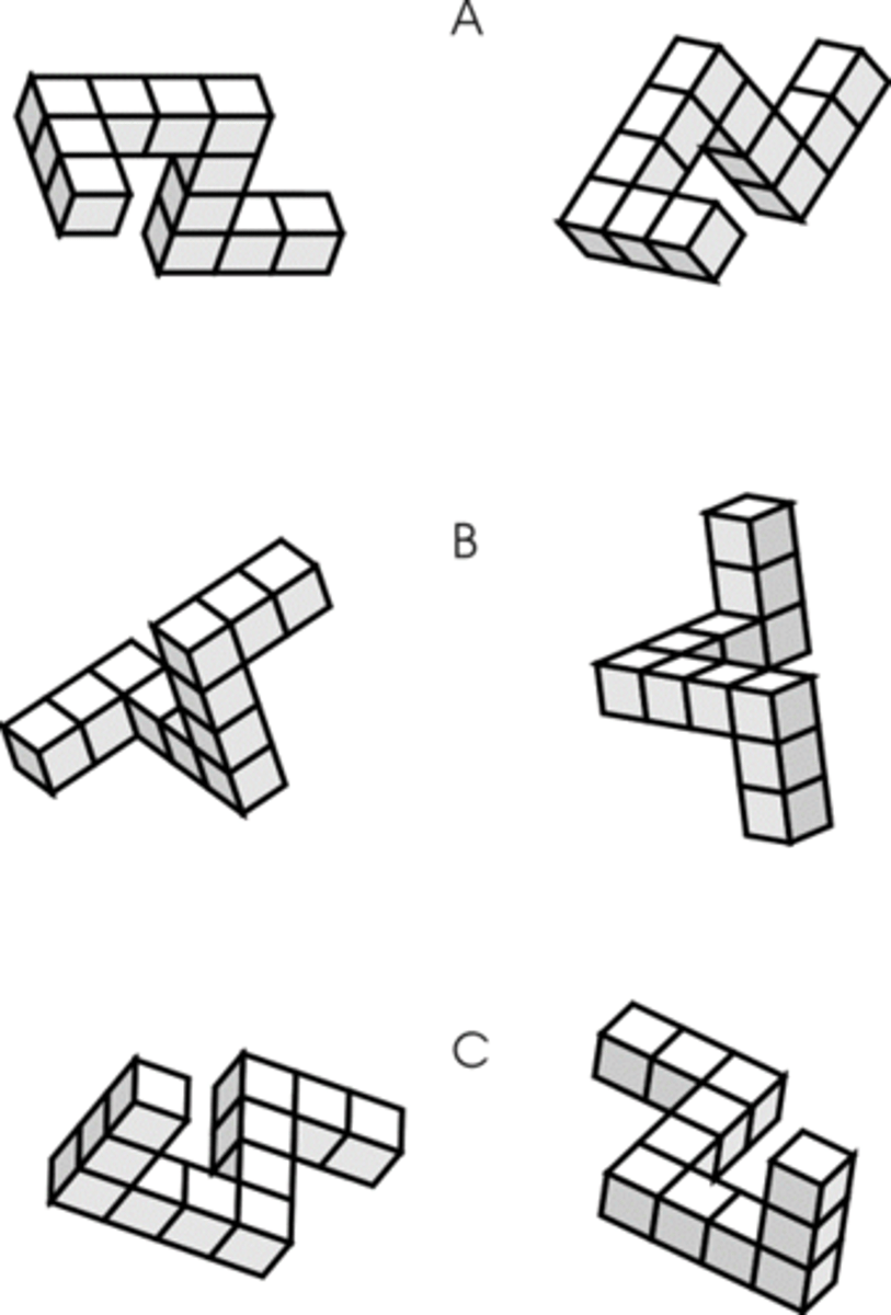 <p>Mental rotation task </p><p>- if good at this task they should be better at the Turkey breast Task (UGRA0 </p>