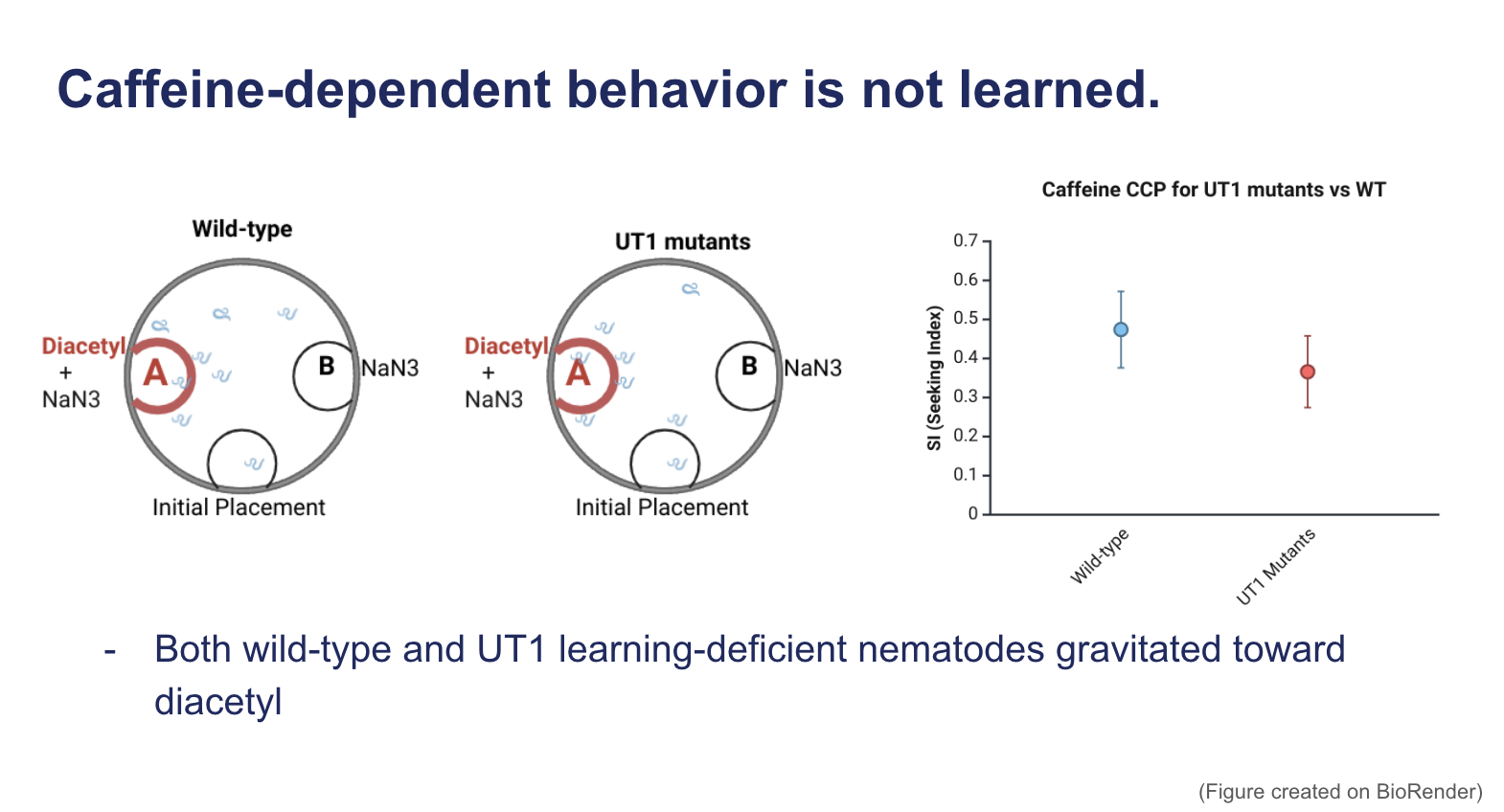 <p><span><strong>Caffeine-dependent behavior is not learned.</strong></span></p>