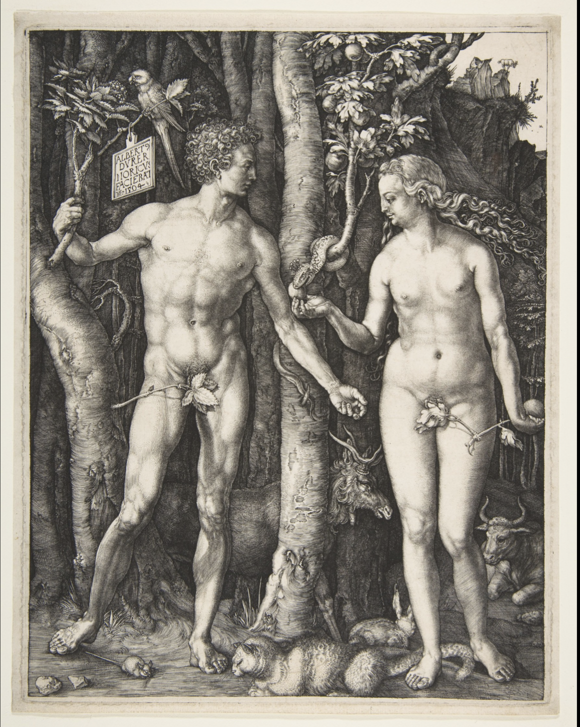 <ul><li><p>1504, engraving, Germany</p></li><li><p>Contrapasto pose, statue-like</p></li><li><p>Northern artistic tradition is where detailed background comes from</p></li><li><p>Hidden symbolism</p><ul><li><p>Four animals represent four bodily humors</p><ul><li><p>Rabbit (glut/lust), elk (melancholy), ox (lazy), cat (angry)</p></li></ul></li></ul></li><li><p>First print artwork</p><ul><li><p>Make it possible to produce multiples of an original artwork</p></li></ul></li><li><p>Durer known for his printwork</p></li><li><p>Wood-block prints have less detail than engraving</p><ul><li><p>This thing is an engraving</p></li></ul></li></ul>