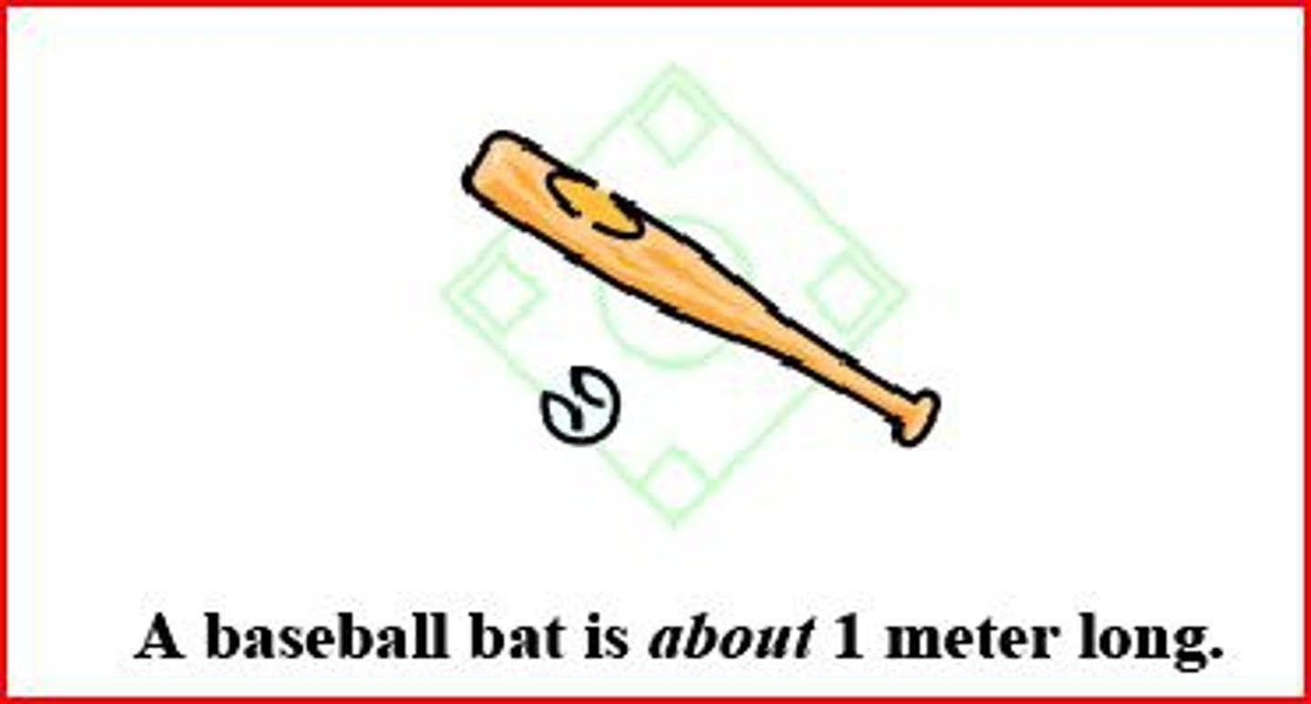 <p>A standard unit of length in the metric system.</p>