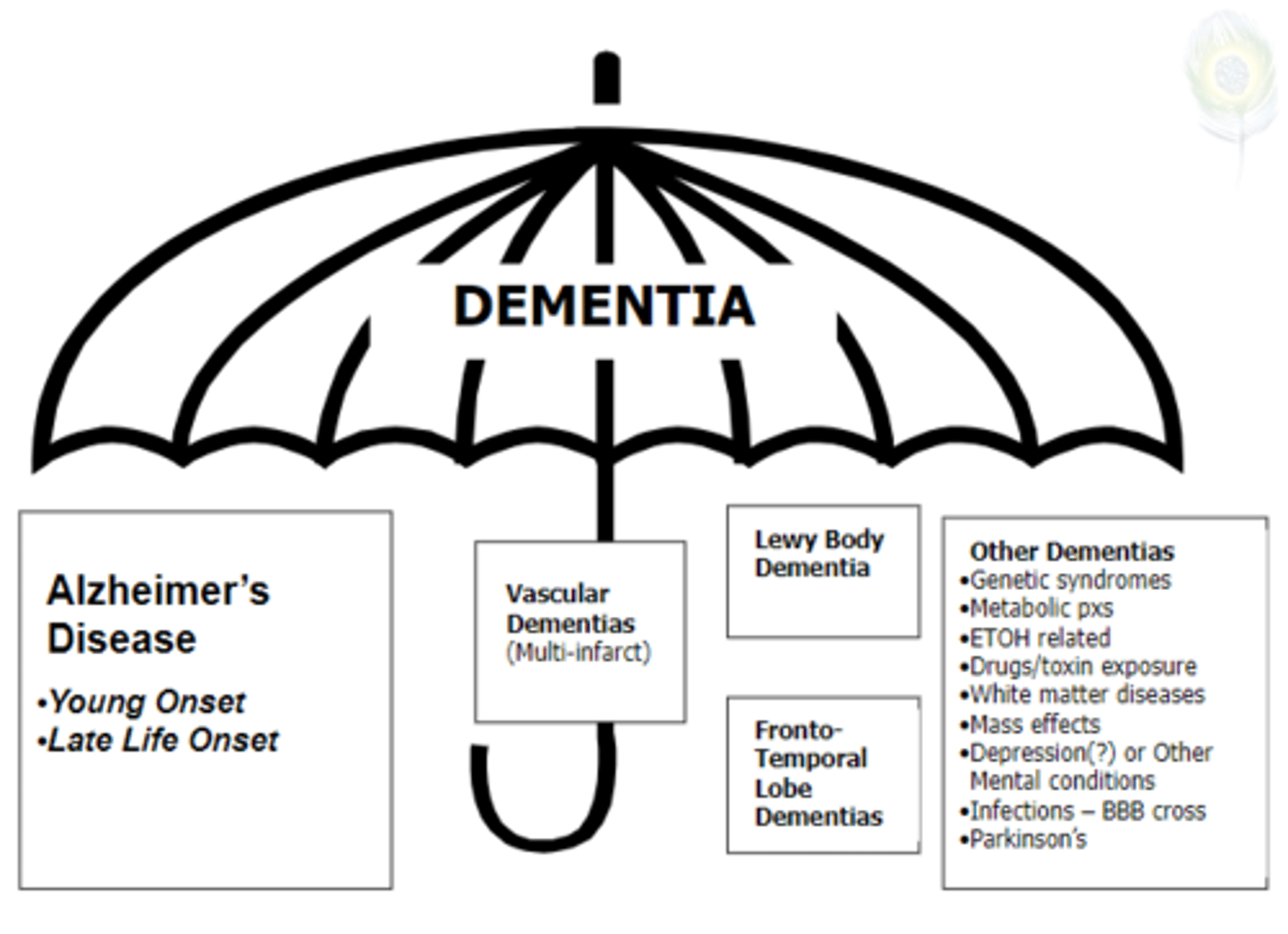 <p>An umbrella term for a collection of symptoms that fit the description of multiple conditions that result in changes to the brain</p>