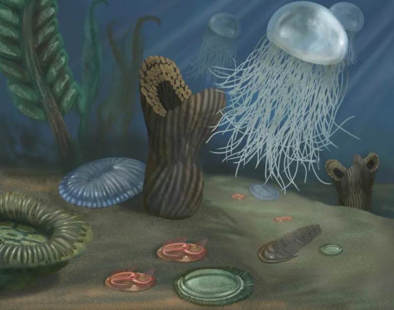 <p>2.5bya- 541mya</p>