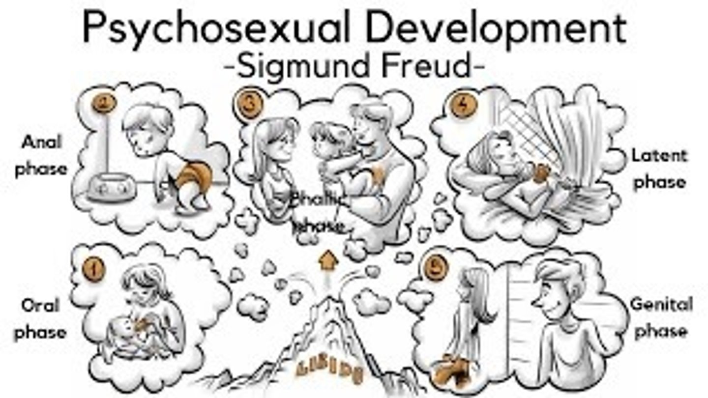 <p>Oral (0-2)</p><p>- focus of pleasure in mouth; only id is present</p><p>- success. completion = eating independently</p><p>- unresolved = oral behaviour e.g smoking/nail-biting</p><p>Anal (2-3)</p><p>- focus of pleasure in anus - ego develops</p><p>- success. completion = potty trained</p><p>- unresolved = anal retentive (harshly potty trained) = perfectionist + obsessive</p><p>- anal expulsive (lenient potty trained) = thoughtless + messy</p><p>Phallic (3-6)</p><p>- focus of pleasure in genital area; superego forms</p><p>- child experiences oedipus + electra complex</p><p>- success. completion = identification w/ same sex parent</p><p>- unresolved = narcissistic, reckless, maybe gay</p><p>Latent (6-12)</p><p>- earlier conflicts are repressed</p><p>Genital (12+)</p><p>- sexual desire becomes more conscious alongside the onset of puberty</p><p>- success. completion = forming healthy relationships</p><p>- unresolved = difficulty forming heterosexual relationships</p><p>(Only Awesome People Love Giraffes)</p>