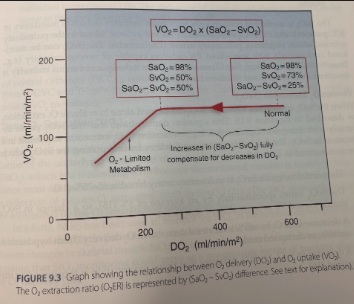 <ul><li><p><span>The oxygen transport system operates to maintain a constant VO2 in the face of decreases in DO2 which is accomplished by compensatory increases in the O2 extraction ratio</span></p><ul><li><p><span>If the increase in O2 extraction cannot fully compensate for a decrease in DO2 then the VO2 will begin to decrease which marks the onset of oxygen-limited (anaerobic) metabolism</span></p></li></ul></li></ul><p></p>