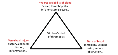 <ol><li><p>hypercoagubility of blood</p></li><li><p>vessel wall injury</p></li><li><p>stasis of blood</p></li></ol><p></p>