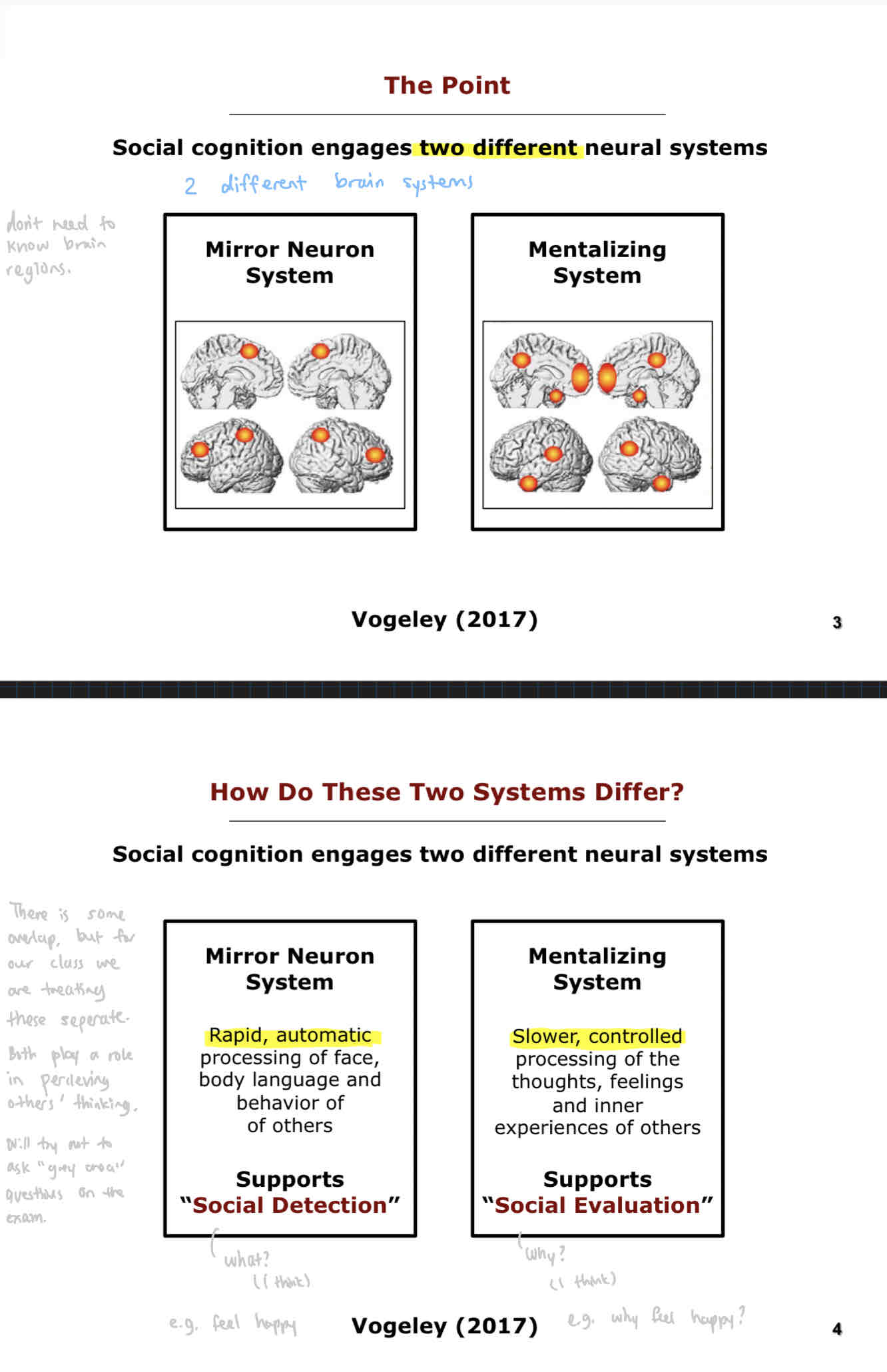 <ol><li><p>Mirror Neuron system</p></li><li><p>Mentalizing system</p></li></ol><p>How these two systems differ:</p><p>Mirror neuron system: Rapid, automatic processing of face, body language and behaviour of others. Supports “Social Detection”</p><p>Mentalizing system: Slower, controlled processing of the thoughts, feelings, and inner experiences of others. Support “Social Evalution”</p><p>(There is some overlap but in our class we are treating them as separate.)</p>