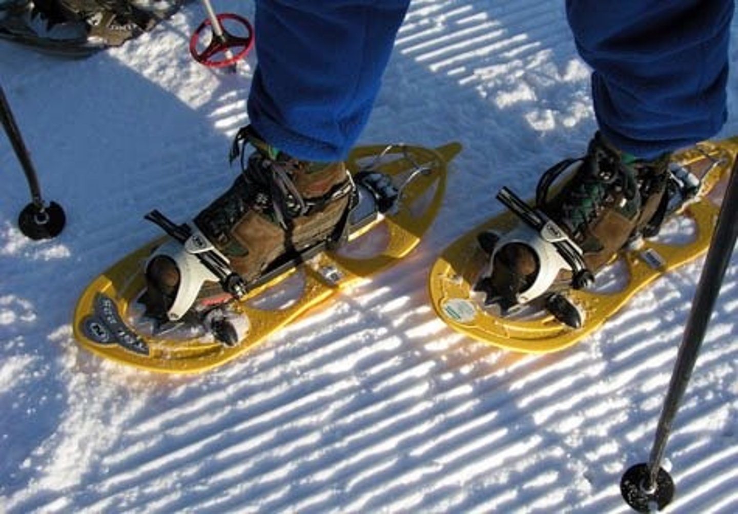 <p>to go snowshoeing</p>