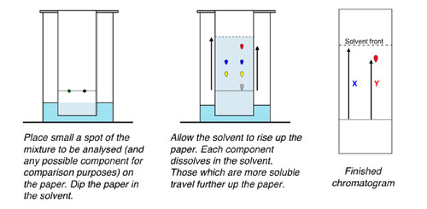 <p>stationary phase: chromatography paper</p><p>mobile phase: solvent eg water, ethanol</p><p>separation: as the solvent moves up the paper, it dissolves the components and move them up the paper. the more soluble, the more it moves.</p>