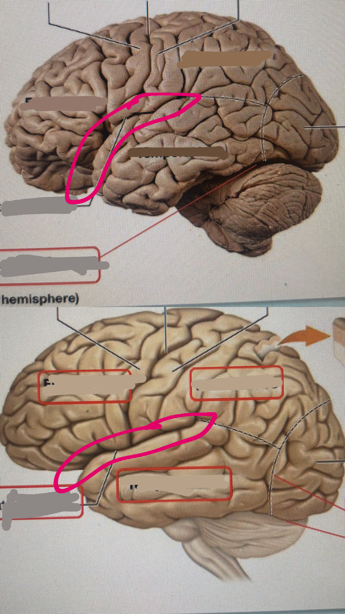 knowt flashcard image