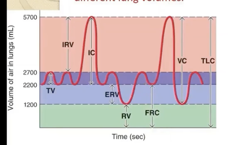 <p>volume of air remaining in the lungs after a normal passive (tidal volume) expiration</p><p></p><p><strong>(ERV+RV= 2200mL)</strong></p><p><strong>forcibly exhale then → air you breathed out plus the air you cannot get rid of</strong></p>