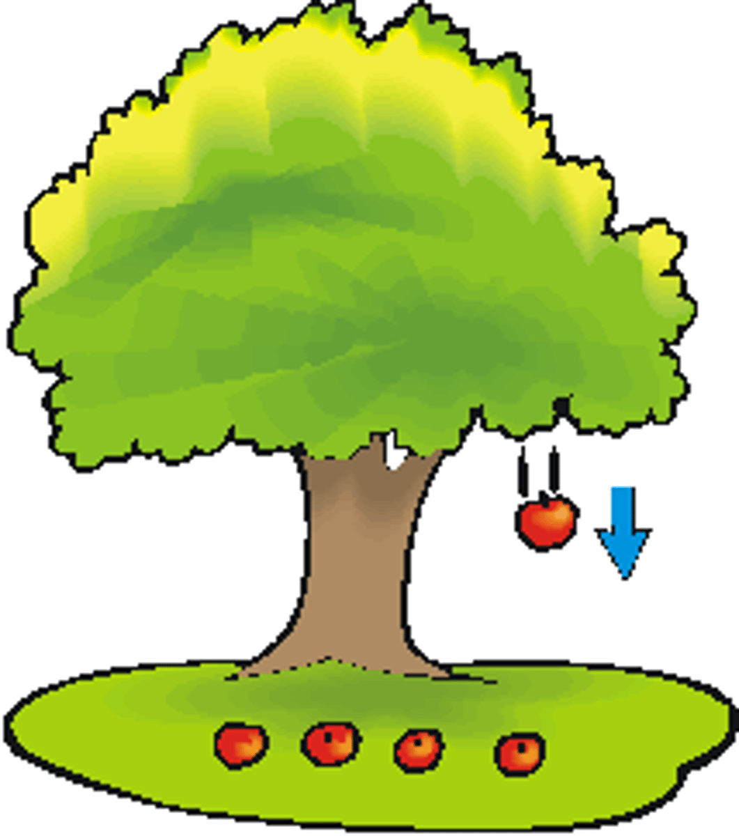 <p>A force that pulls objects toward each other</p>