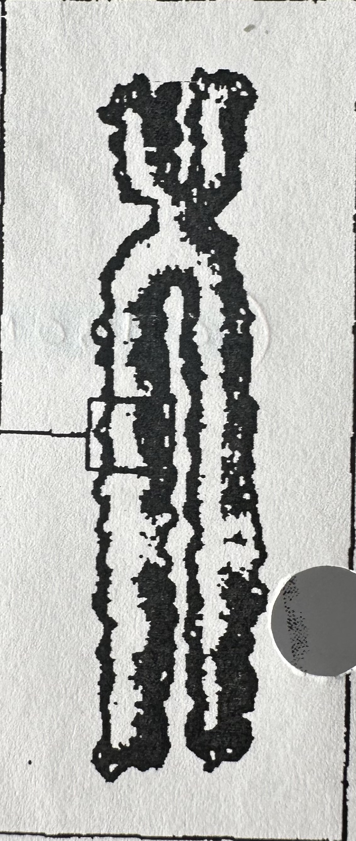 <p>Rod-shaped bodies of DNA and HISTONE PROTEINS, clearly visible, only appears during cell division.</p>